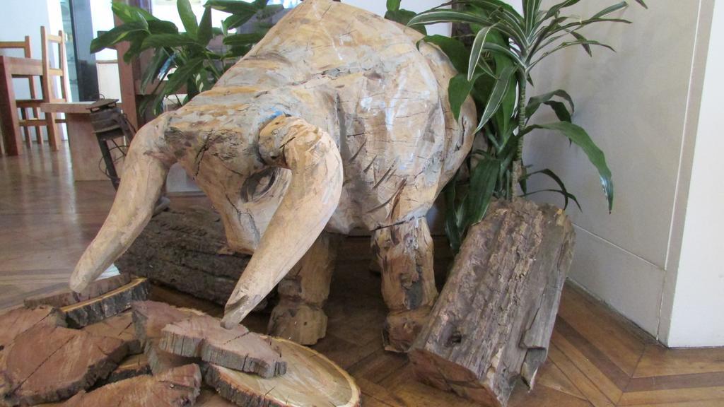Hostal Caracol سانتياغو المظهر الخارجي الصورة